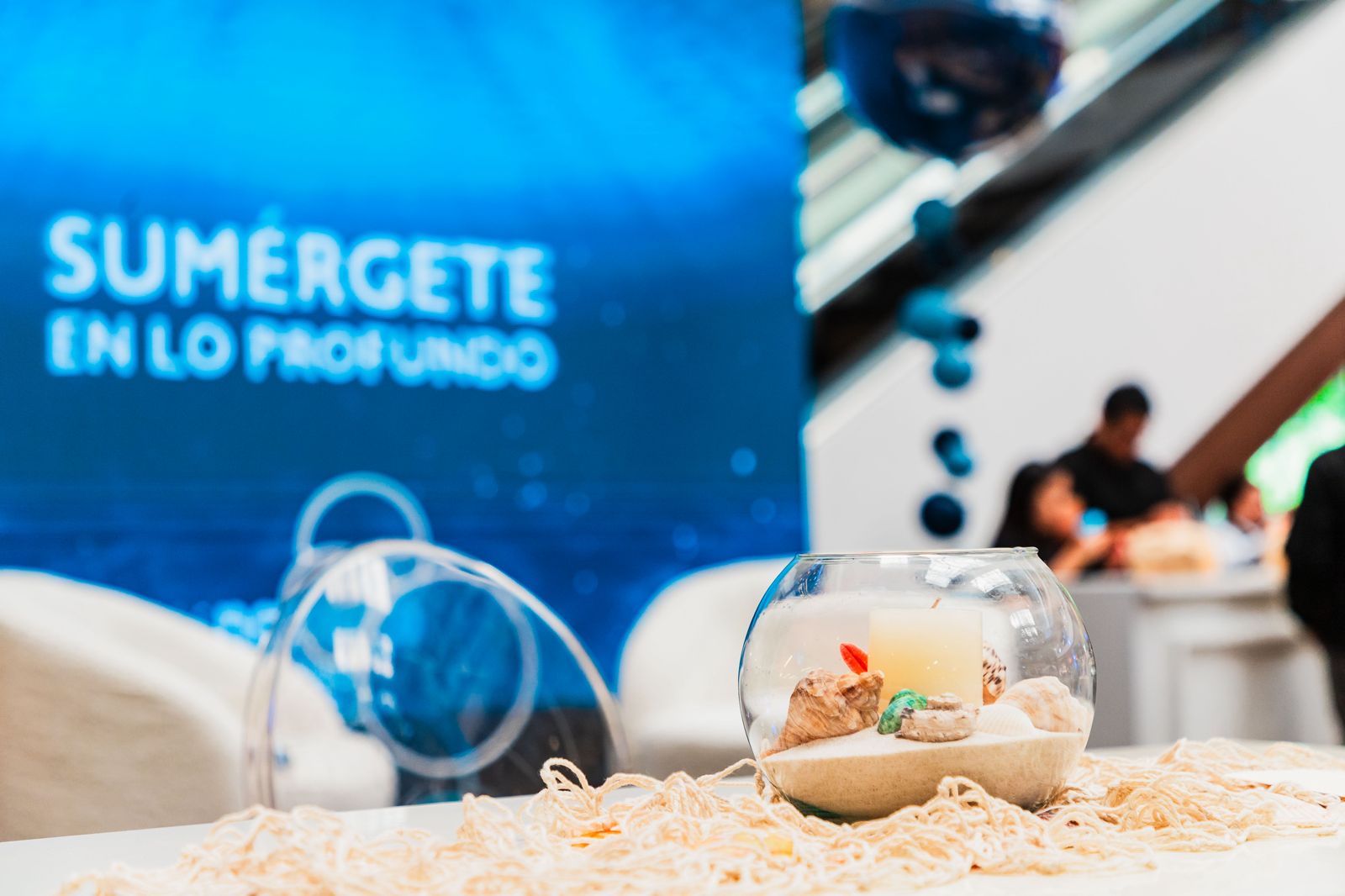 Ocean Expedition te sumergirá en la magia del mundo marino