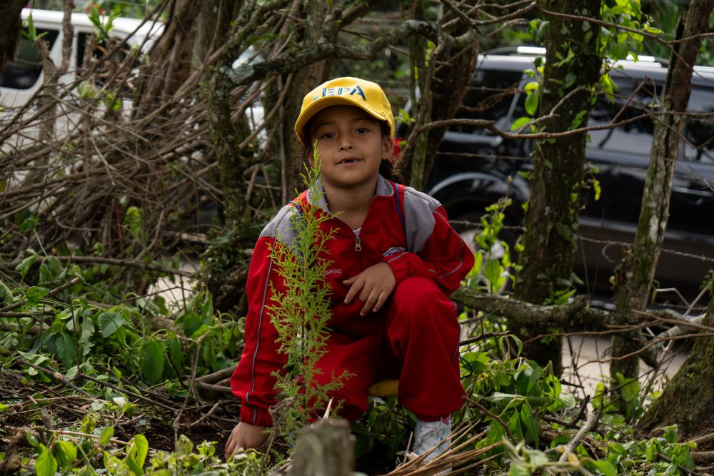 Niños conmemoran Día Mundial del Medio Ambiente con jornada de reforestación